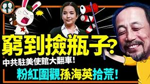 孙海英在美国捡瓶子，王志安躺枪，凤姐笑了！党官在美黑钱要曝光！中共驻美大使馆发警告（老北京茶馆/第895集/2023/03/03）