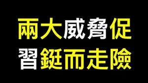 野村证券：狂热后崩盘！看守所人满为患，两大威胁促习急转弯⋯⋯