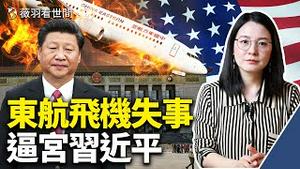 东航垂直坠机现诡异，传习近平震惊；常委逼宫，美国掌握党的最高机密，习近平暗自认怂，悄悄施压俄罗斯。｜薇羽看世间 第459期 20220321