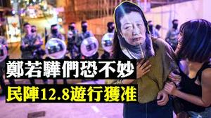 611名港人遭大陆扣押，香港保安局公布有关数据；被迫进京，低调回港，丈夫被查，李慧琼点名批评，郑若骅们要有事？民阵12月8日大游行，警方批准！ | 新闻拍案惊奇 大宇