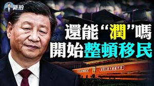 💥中共要对“出国者”收税！并瞄准财产千万以上的“高净值人群”；中共新立法撤销“改革开放”，清洗讯号？中宣部又号召知识分子提意见；大陆接连传出移民仲介“被找麻烦”｜新闻拍案惊奇 大宇