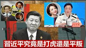 傅政华什么原因落马？孙力军私藏了什么机密？习近平是打虎还是平叛？《建民论推墙1408》