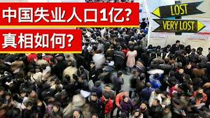 中国失业人口1亿? 真相如何?(字幕)/Are 100 Million Chinese Out of Work?/王剑每日观察/20201219