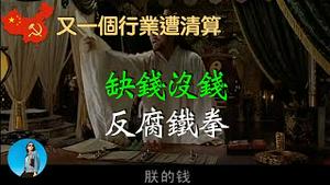 习近平又“打贪”，倒查医疗20年的真实目的是什么？《大明王朝1566》早已看穿一切｜米国路边社 [20230811#458]