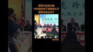 蔡英文总统访美，中共纽约地下党陈姓头目接到任务要出手了！请转发！