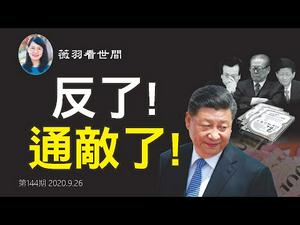 【第144期】朱慧民被查，习近平夺钱袋子。江曾孟搞了三个硬盘，与习近平王岐山火拼，川普会上当吗？| 薇羽看世间 20200926