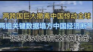 最新！两跨国巨大撤离中国惊动全球！两组关键数据塌方，中国经济断气！一张图表5小时后被全网封杀！