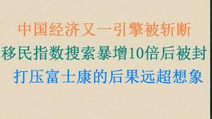 自废武功，中国经济又一引擎被斩！移民指数搜索暴增10倍后被封，打压富士康的后果远超想象！ (20231023第1111期)