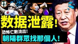 北京大妞替父仗义执言！失命人数秘密流出，党甩锅美国遭朝阳群众追问：谁指挥的？（老北京茶馆/第851集/2022/12/19）