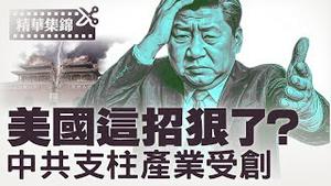 原料断供＋重税＋外交封锁，美国这招让习近平毫无招架之力？【每日直播精华｜天亮时分】2025.4.22