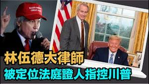 「断然否认！林伍德坚称不记得自己的证词」No.04（09/21/23）