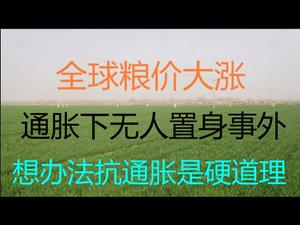 财经冷眼：全球粮价大涨，大通胀下无人置身事外！想办法抗通胀是硬道理！（20210317第478期）