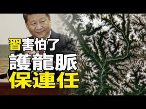 ??习害怕了❗护龙脉 保二十大连任❓❗