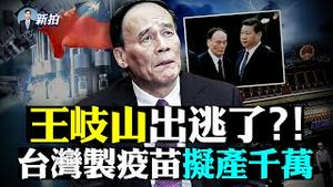 🔥广东疫情延烧16地！温州连夜核检；广州女拎刀发洩；被纪委赐死？马拉松事件，县书记跳.楼！公安打学生还强迫慰问，传学潮定反政府暴动；习近平亲信4个月整肃7万干警；中共颁反制裁法｜新闻拍案惊奇 大宇