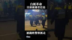 白纸革命被捕者名单！ #Shorts #白纸革命 #习近平 #清零 #上海 #乌鲁木齐