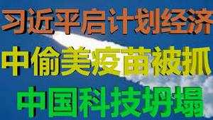 财经冷眼：习近平坚定重启计划经济，中偷美疫苗被抓 ，科技体系坍塌！（20200722第290期）