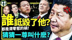 因严重诋毁习近平遭吊打，正厅级党官给一尊起了什么绰号？红二代呼唤美国民主获蓬佩奥力挺，赵立坚又气炸！（老北京茶馆/第828集/2022/11/08）