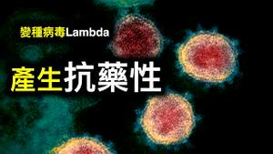 新加坡公布疫苗国家赔偿；Lambda变种可能产生抗药性；以色列已接种学生1传83令人担忧⋯⋯