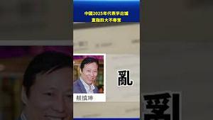 中国2025年代表字出炉 直指四大不寻常#环球直击