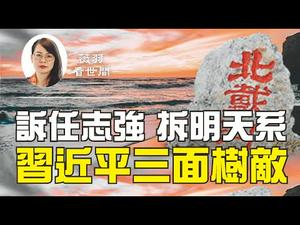 【第90期】起诉任志强，接管肖建华明天系，排挤李克强，习近平三面树敌，北戴河会议成关键。| 薇羽看世间 20200724