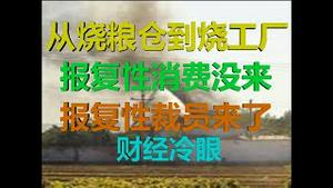 财经冷眼：从烧粮仓到烧工厂，报复性消费没来，报复性裁员来了！（20200416第212期）