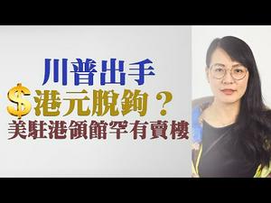 【第44期】港版国安法通过，美领馆拍卖在港地产，释撤港信号；港元脱钩，东方明珠黯然失色；第三次世界大战已开始？| 薇羽看世间 20200602（字幕）