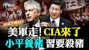 💥病毒溯源报告出炉！中国出现雇人“代打疫苗”；辉瑞警告必有「抗疫苗」变种；拜登要如期撤军，美国公民恐遗落阿富汗；陆学者呛习，反对三次分配，毛孙婿却表忠；支联会要解散；塔利班弱点｜新闻拍案惊奇 大宇