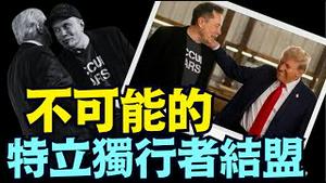 对立方！难以想像：马斯克已直接介入内阁任命 政策制定（11 12 24）#川普 #特朗普 #马斯克 #比特币