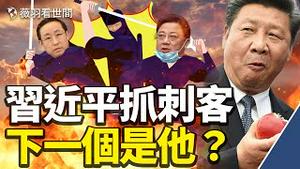 孙力军供出大老虎？反习派要被一锅端？傅政华落马，下一个是他？｜薇羽看世间 第381期 20211003