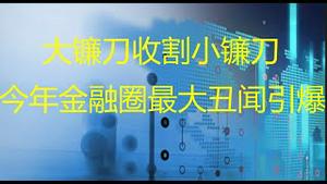 财经冷眼： 2021年金融圈最大地震引爆！小镰刀被大镰刀收割，高层紧急调查！（20210518第531期）