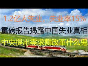 财经冷眼：1.2亿人失业，失业率15% ？ 重磅报告揭露中国严峻的失业真相！ 需求侧改革是个什么鬼？（20201220第412期）