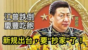 习近平推出新规矩，江派和红二代很快被“抄家”“灭族”！权贵财富马上归零，何不拿出来培养除习死士？ （一平论政2022/2/4)