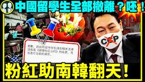 韩国变天！小粉红帮助反共亲美尹锡悦当选韩国总统；大使馆撒谎！四中国留学生怒揭被困乌克兰苏梅遭抛弃！（老北京茶馆/第663集/2022/03/10）