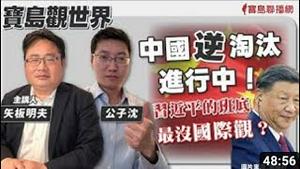 公子沈对话矢板明夫：习近平加速清洗党内改良派，聊聊王志安现象和中国式思维，理解自由民主有多难（上）