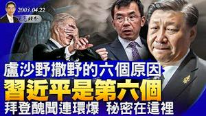 拜登丑闻连环爆，秘密在这里；乌克兰反攻，日军从俄罗斯手中收复北方四岛？卢沙野撒野的六个原因，习近平是第六个（YouTube会员节目第17集 20230422）天亮时分