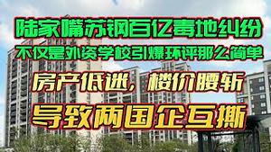 陆家嘴苏钢百亿毒地纠纷，不仅是外资学校引爆环评那么简单。房产低迷，楼价腰斩，导致两国企互撕。2023.11.13NO2072#陆家嘴#苏钢#毒地