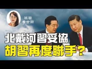 【第118期】习近平的对美政策与推行数字货币，遭到了江曾势力和红二代的围攻。而北戴河会议之后，习近平随即考察安徽，李克强视察重庆，透露了什么政治信号？| 薇羽看世间 20200825