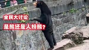 【全民大讨论】是熊还是人扮熊？2023.08.01NO1946