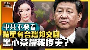 【中共不要看】豔星洗红当智库院长，夺台湾邦交国？马英九说禁语，中共封杀，有人想行刺？OPEC减产石油，全球经济瘫痪？中共策动涨油价，救俄报复美国？（2023.4.4）｜世界的十字路口 唐浩