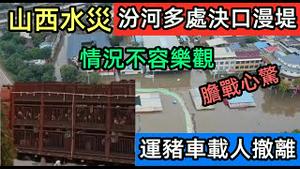 山西运城暴雨致河堤出现多处决口，无奈用牲口车撤离村民|汾河漫过堤坝情况堪比新乡洩洪区|山西暴雨破坏力超越河南|山西临汾水位过高四处封路|#山西特大暴雨#10月突发#2021水灾#大禹治水