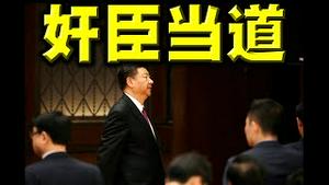 官场震荡，湖北全换人！习近平嫉恨副主席，恶斗团派。小人高升，只因感恩总书记