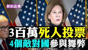 全重磅！奥巴马索罗斯等统一把头像改为黑白色，预示什么？四个美国敌对国家参与舞弊，都有谁；美左派势力如何勾结；作弊票数规模多大；多米尼公司如何逃之夭夭..川普律师最新采访汇整 |新闻拍案惊奇 大宇直播