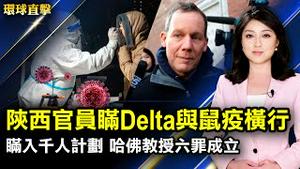 陕西官员瞒Delta与鼠疫横行；罹癌湖北女菜贩上诉，担忧活不到冤案解决；瞒入中共千人计划，哈佛教授6罪成立；台北101跨年烟火，全球首见动态展翅秀【#环球直击】| #新唐人电视台