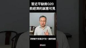 习近平缺席G20峰会，民营企业家们可以洗洗睡了