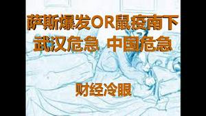 财经冷眼：萨斯爆发OR鼠疫南下，武汉危急，中国危急！（20200101第115期）