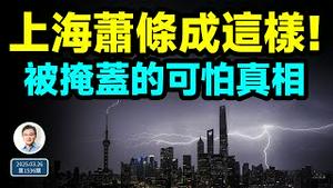 不敢相信，连上海都萧条成这样！还有被隐藏的更可怕真相（文昭谈古论今20250326第1536期）