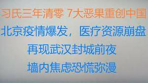 财经冷眼：习氏三年清零，7大恶果重创中国！北京疫情爆发，医疗资源崩盘  ！（20221208第930期）