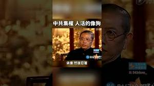 大咖太敢讲了！要是普通人早被抓了！