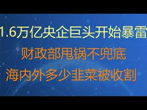 财经冷眼：1.6万亿央企巨头开始暴雷，财政部甩锅不兜底！海内外多少韭菜被坑？（20210417第505期）