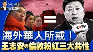 王志安与伦敦流氓粉红的三大共性，三党齐声谴责，处罚决定出炉；两万亿救市，股民最后的出逃机会（政论天下第1213集 20240124）天亮时分